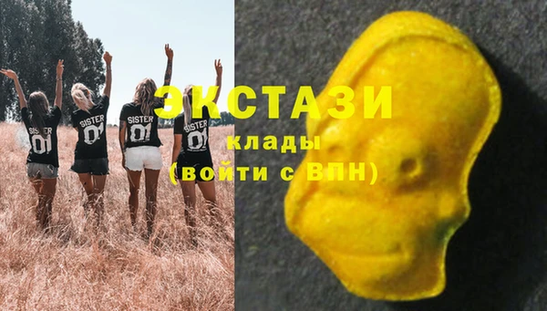 дмт Арсеньев